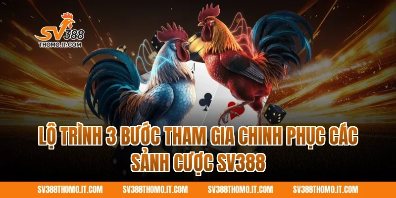 Lộ trình 3 bước tham gia chinh phục các sảnh cược SV388