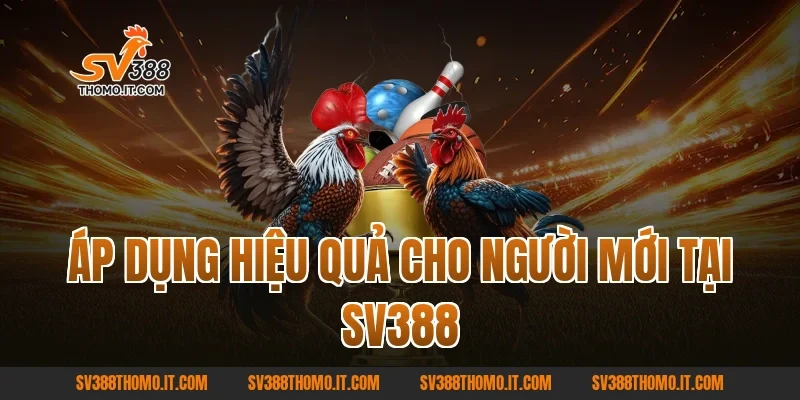 Áp dụng hiệu quả cho người mới tại SV388