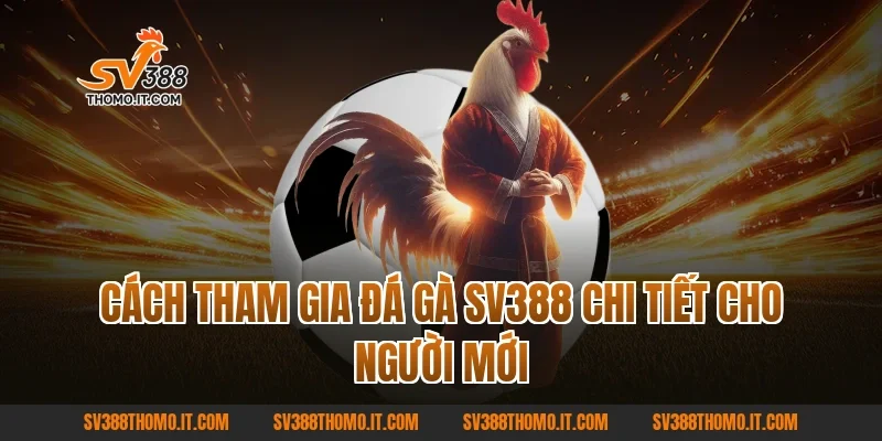 Cách tham gia Đá gà SV388 chi tiết cho người mới