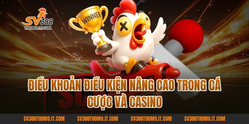 điều khoản điều kiện nâng cao trong cá cược và casino