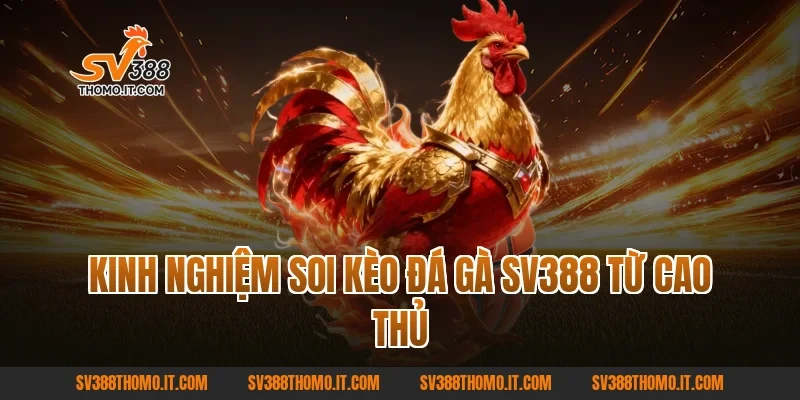Kinh nghiệm soi kèo Đá gà SV388 từ cao thủ