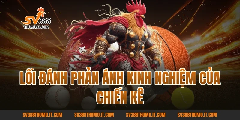 Lối đánh phản ánh kinh nghiệm của chiến kê