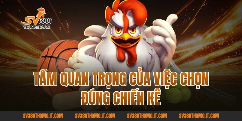 Tầm quan trọng của việc chọn đúng chiến kê