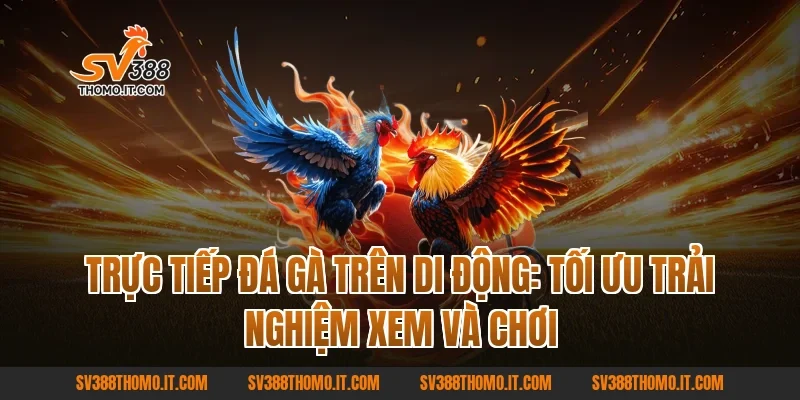 Trực tiếp đá gà trên di động: tối ưu trải nghiệm xem và chơi